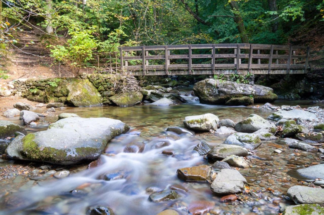 Tree Tops At The Falls - Great For Families, Central Location With Parking Ambleside Bagian luar foto